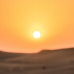 열사병 초기 증상부터 예방까지 완벽 가이드 5