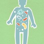 질병과 노화의 주범, 활성산소 제거 원인