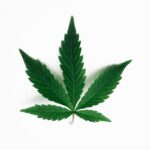 ‘120% 충격’적인 마약 증상, 종류 및 특징