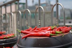 말리면 영양 급증하는 건조 야채 TOP 5