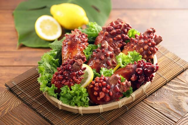 멍게 효능