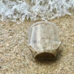 일상 속 미세 플라스틱… 장 건강을 위협한다!