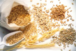 파로 곡물 효능: 당뇨와 다이어트에 최고 식단