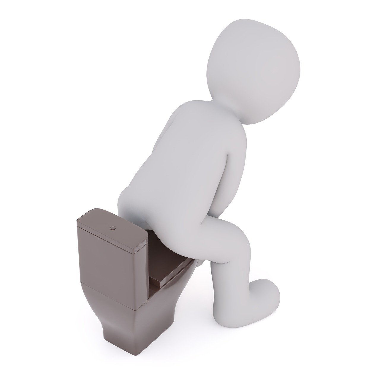 방광염 증상 원인 치료법과 방광염에 좋은 음식 가이드